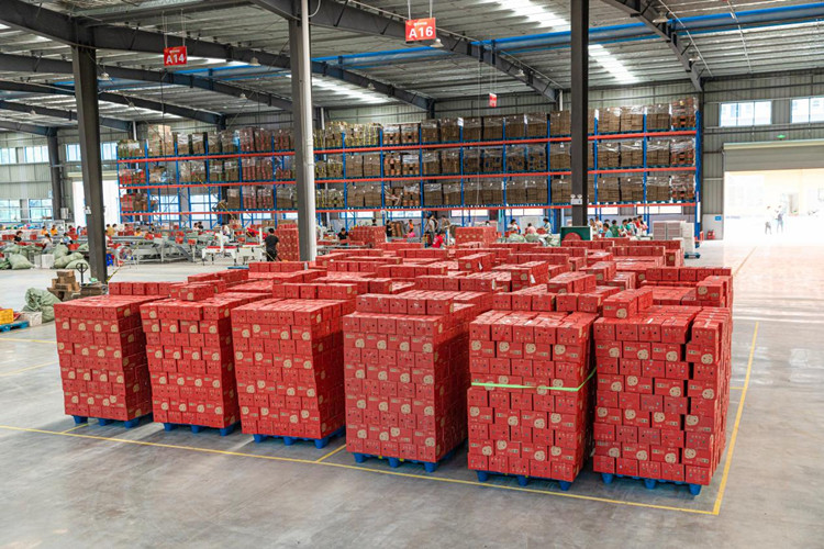 fruits storage تخزين الفواكه