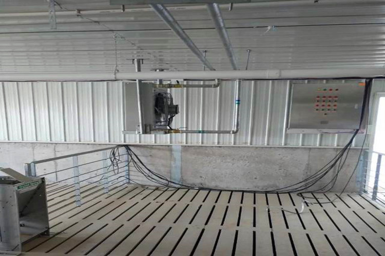 pig farm مزرعة للخنازير