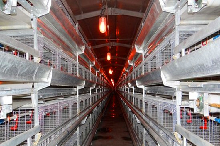 galvanization cages أقفاص الجلفنة