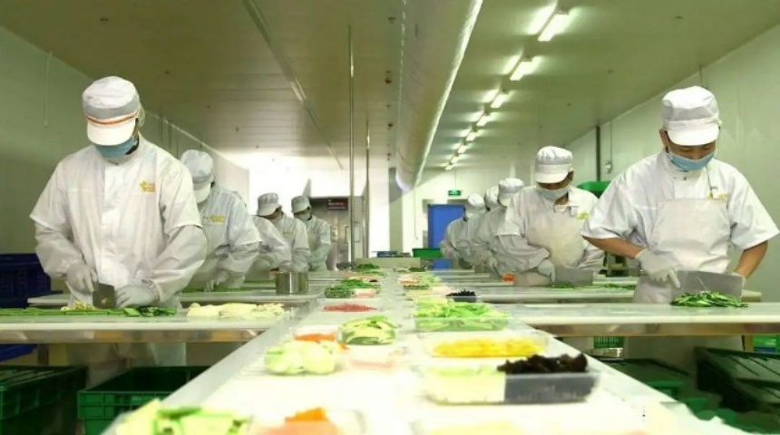 pre made meal وجبة مسبقة