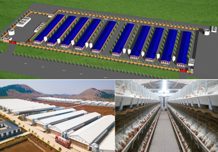 مزارع اللاحم ثلاثية الأبعاد الموحدة