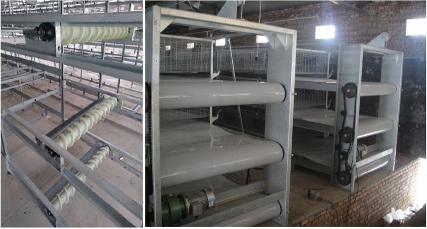 تنظيف السماد