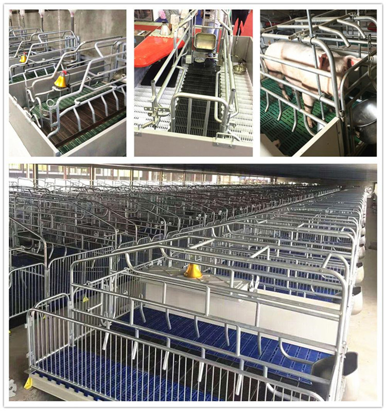 قضبان فولاذية الصناديق الممتدة