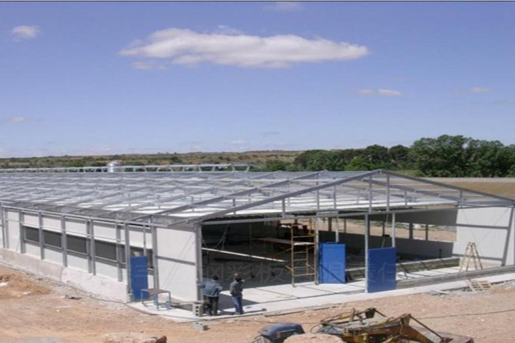 بيت الدواجن