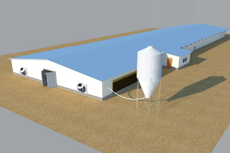 دار الدواجن