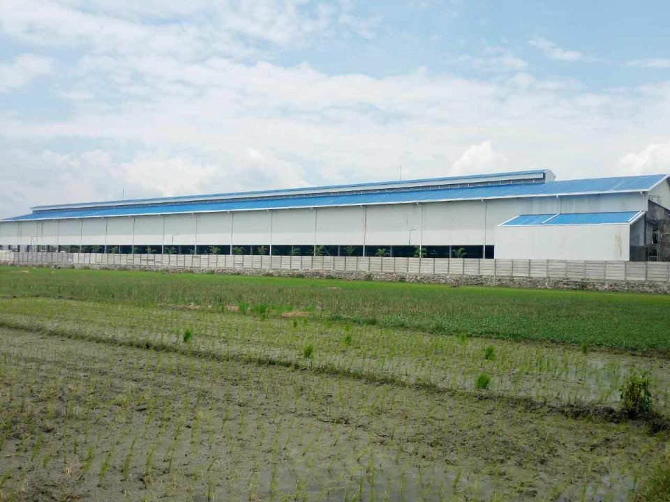 رؤية جانبية