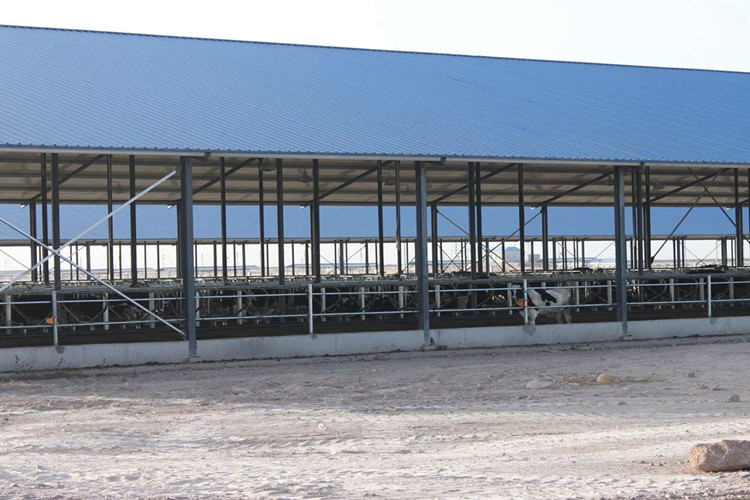 الهيكل الصلب