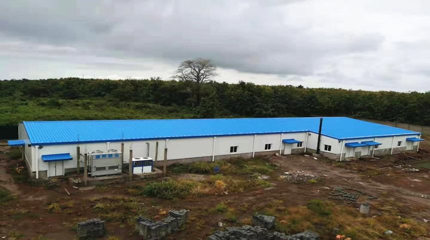 مربي الطيور فارم