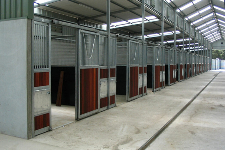 الساحة الحصان