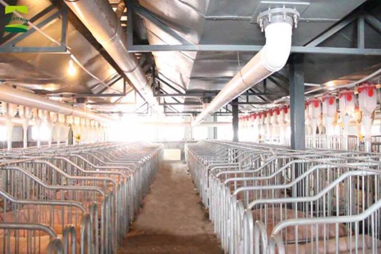 نظام الشعير