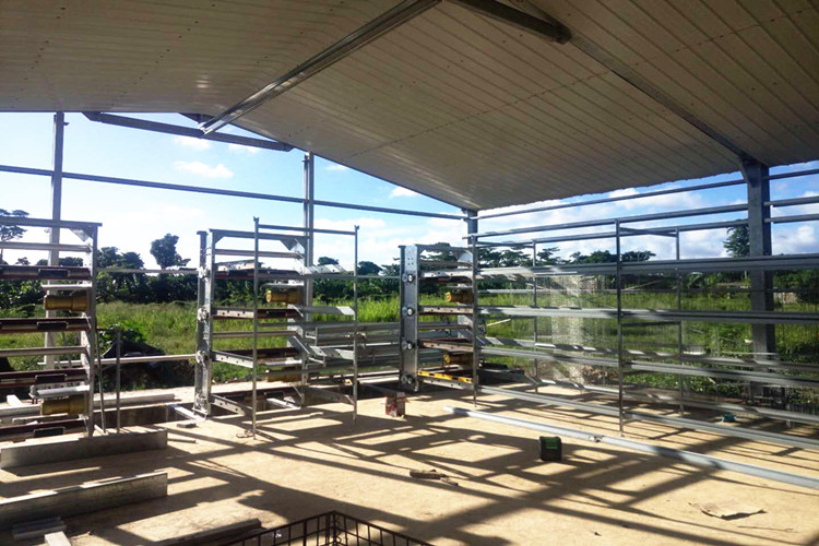 طبقة دجاج مزرعة