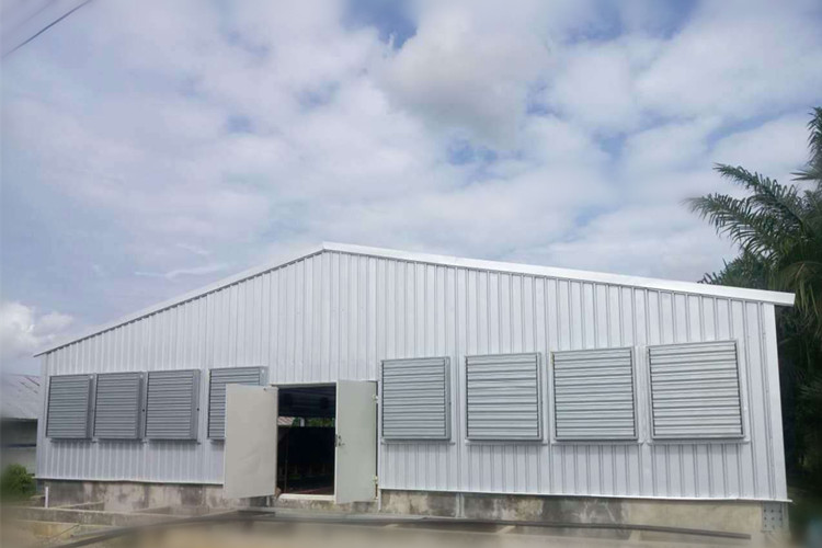 دار الدواجن