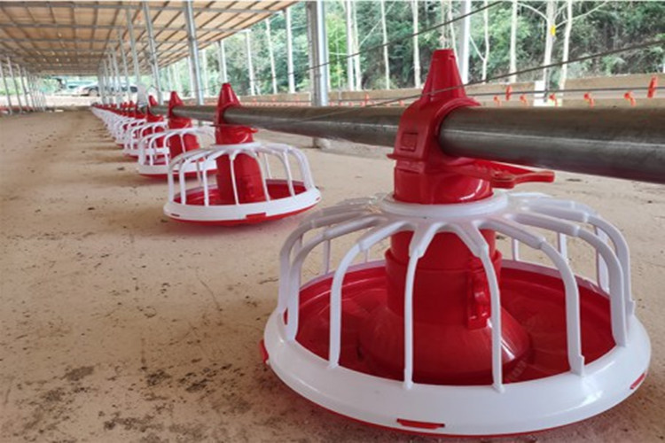 مقلاة تغذية