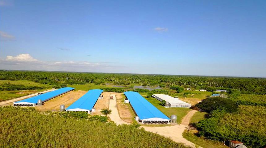 مزرعة الدجاج للاحتين