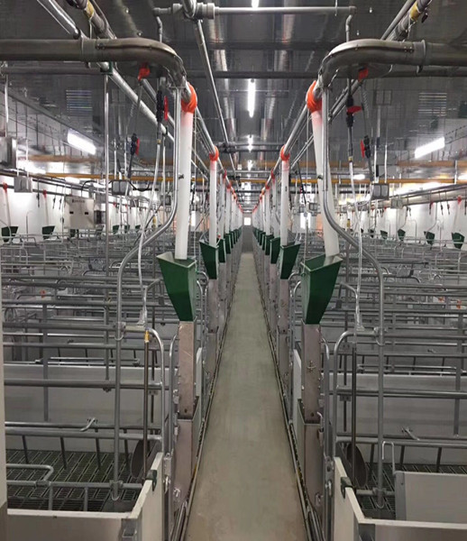 نظام التغذية