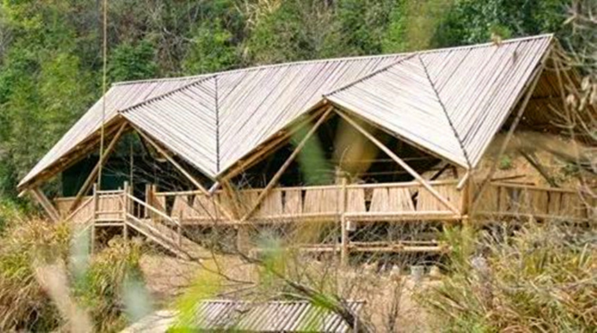 سقيفة الخنزير