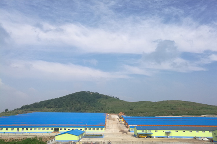 مزرعة دواجن