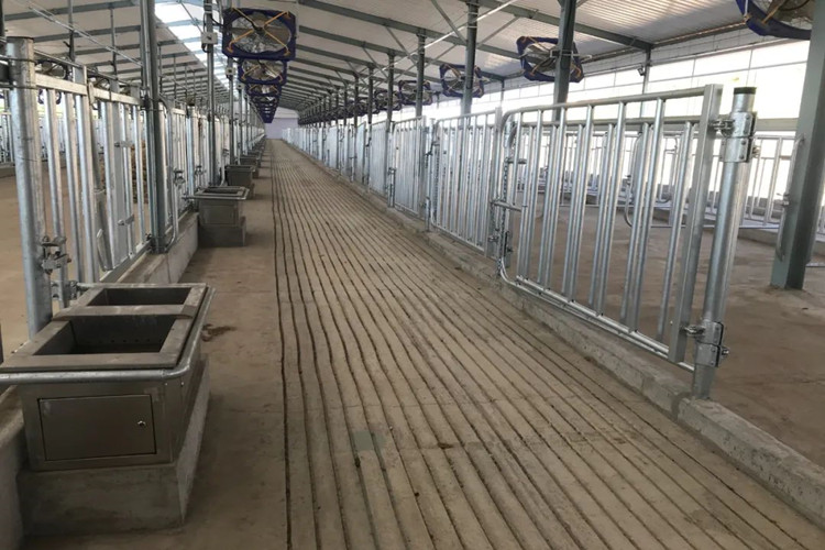 الأقلام المجلفنة