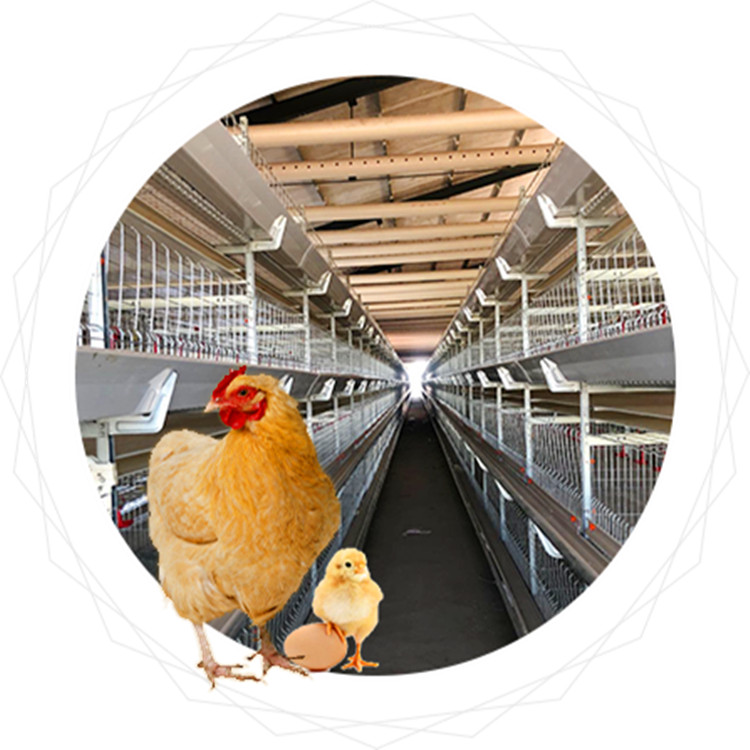 اللاحم والطبقة