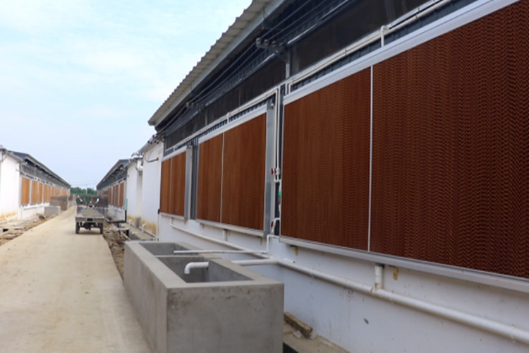 لوحة التبريد