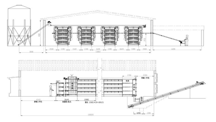 تخطيط بيت الدجاج