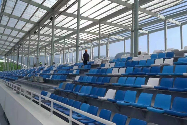 الحصان أريانا