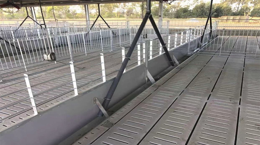 الأقلام الجلفانية