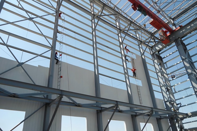 الهيكل الصلب للمصنع