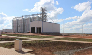 maize processing shed.jpg