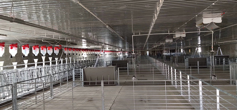 نظام التغذية