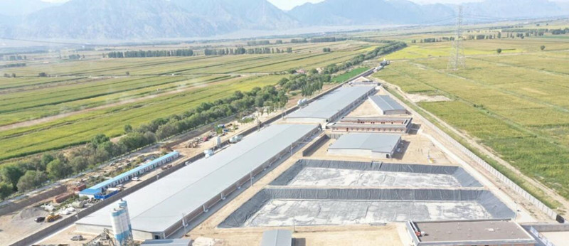 هوج الزراعة