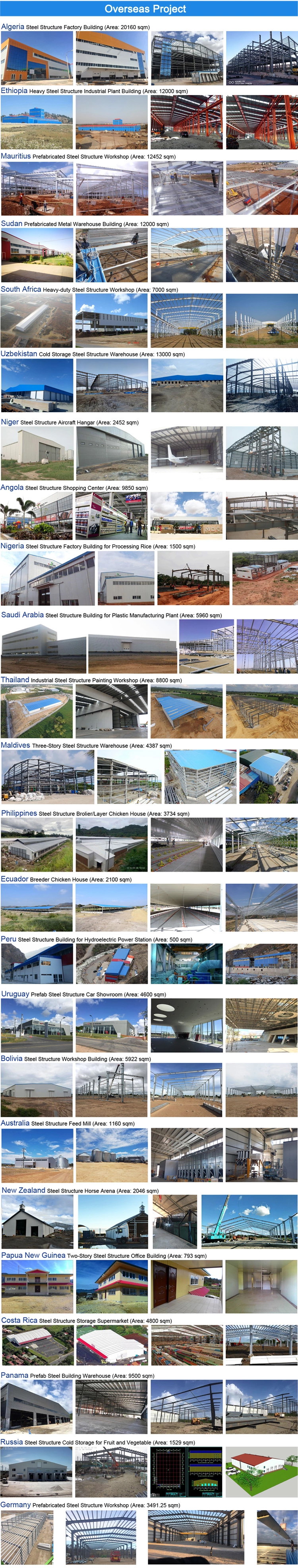 مشاريع هيكل الفولاذ المفرط