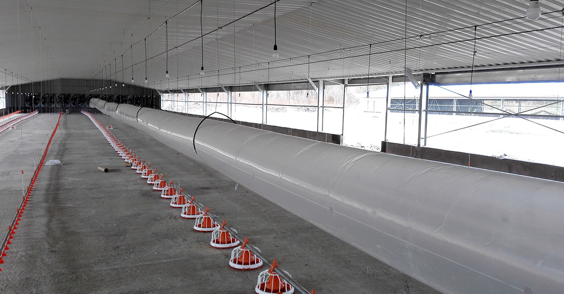 Broiler-chicken-house1