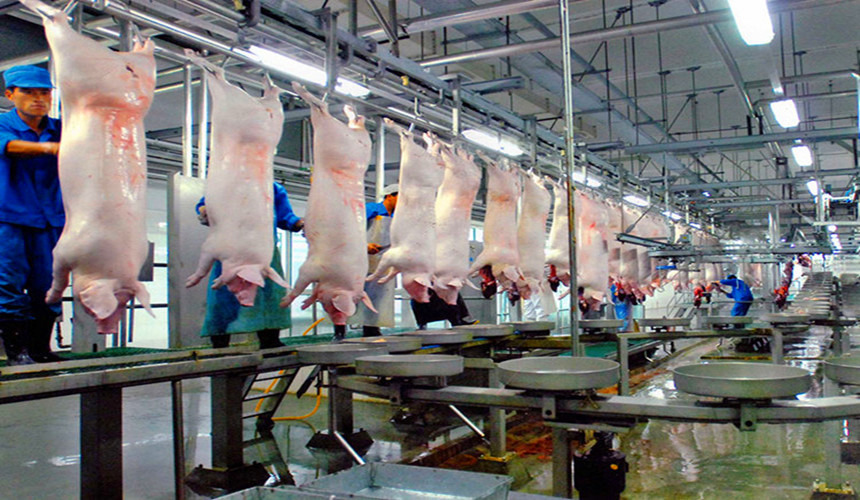 صناعة لحم الخنزير