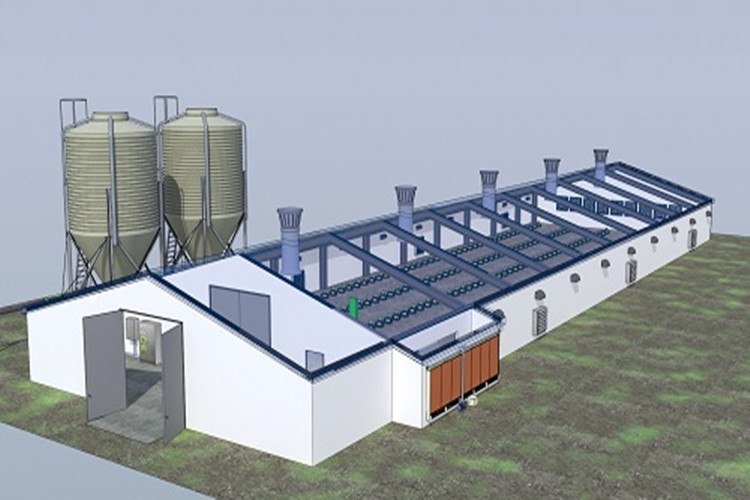 مزرعة الدجاج الجاهزة