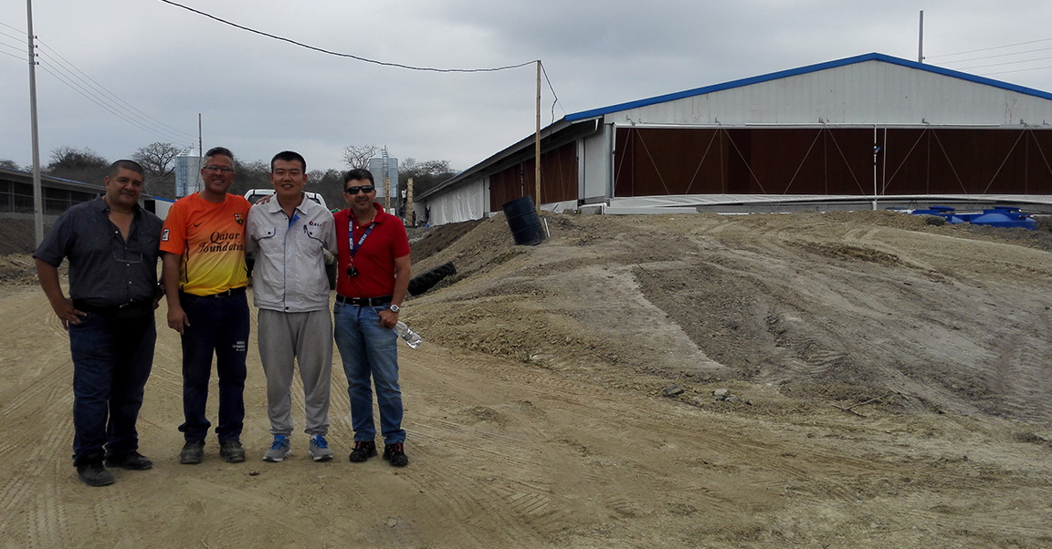 Broiler-chicken-house4