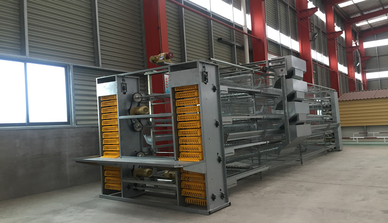 قفص تغذية eqiupment