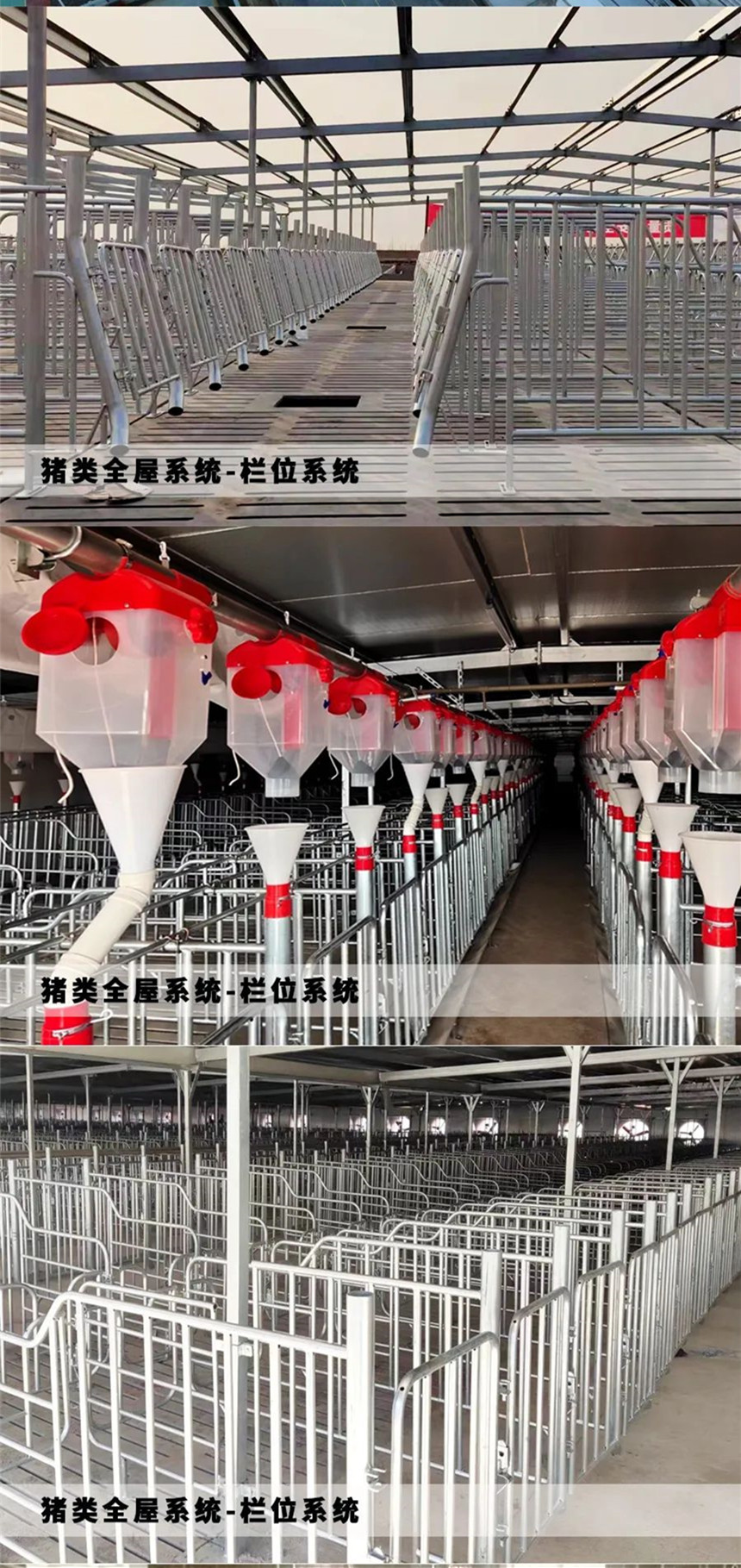 نظام التعاقد