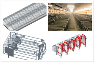 المباني الفولاذية الزراعية لتربية الخنازير مع رفع المعدات