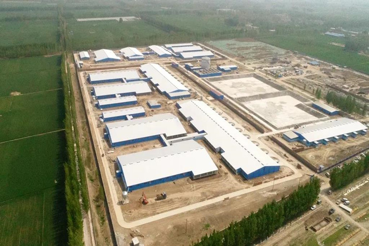 مزرعة للخنازير