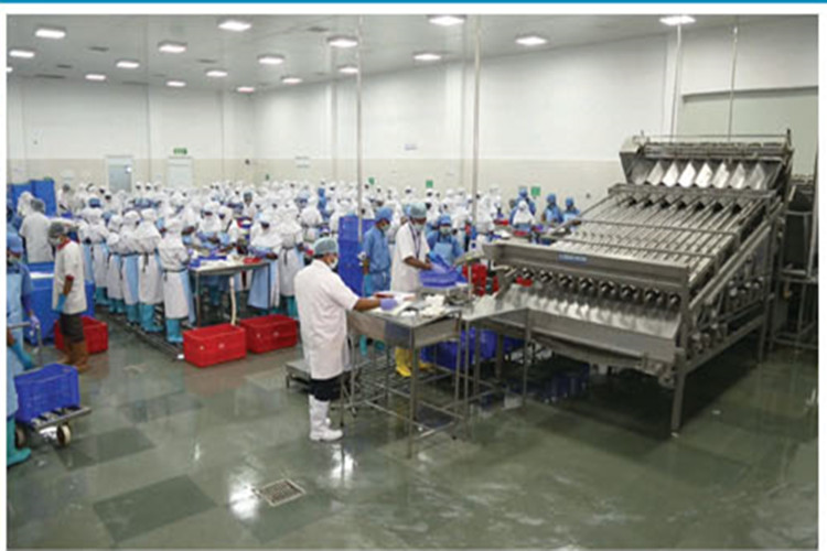 ورشة معالجة الأغذية