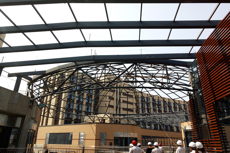 الهيكل الصلب