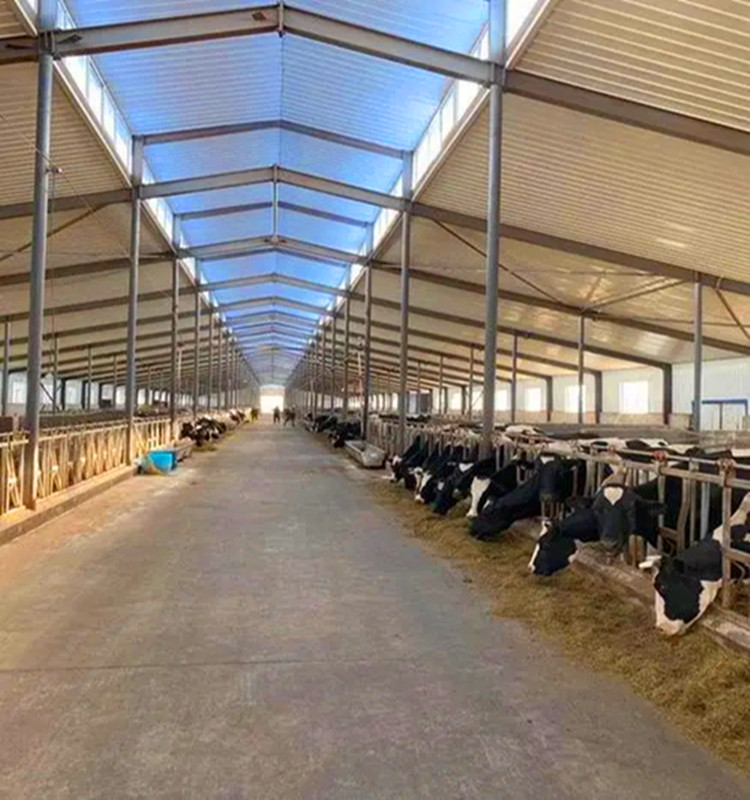 سقيفة البقرة