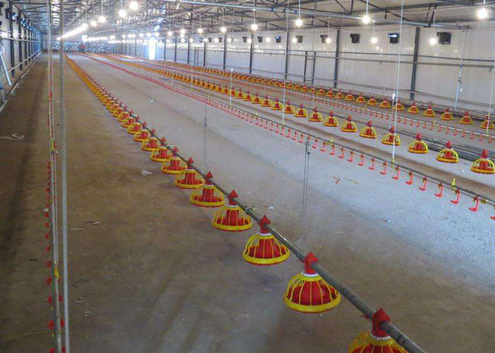 معدات التغذية التلقائية