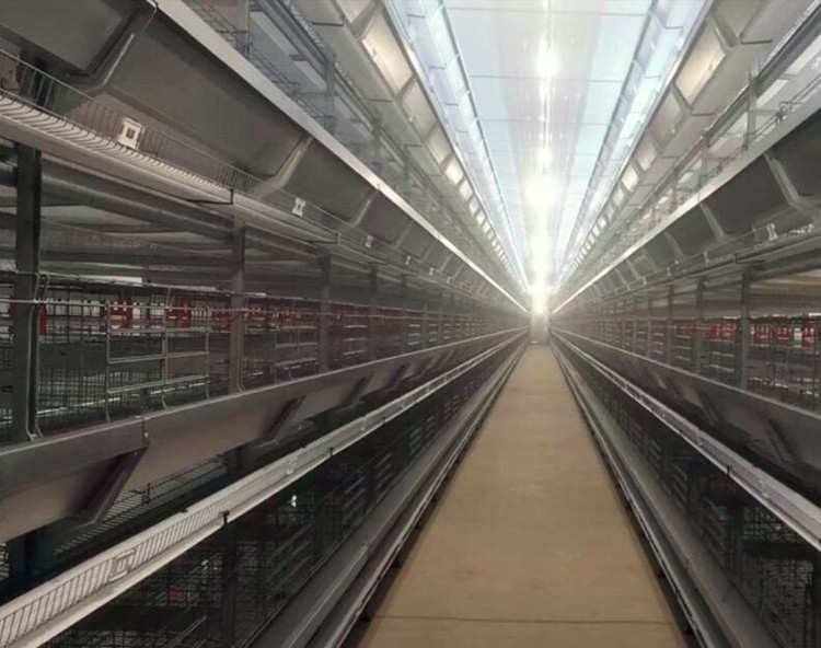 قفص البطارية