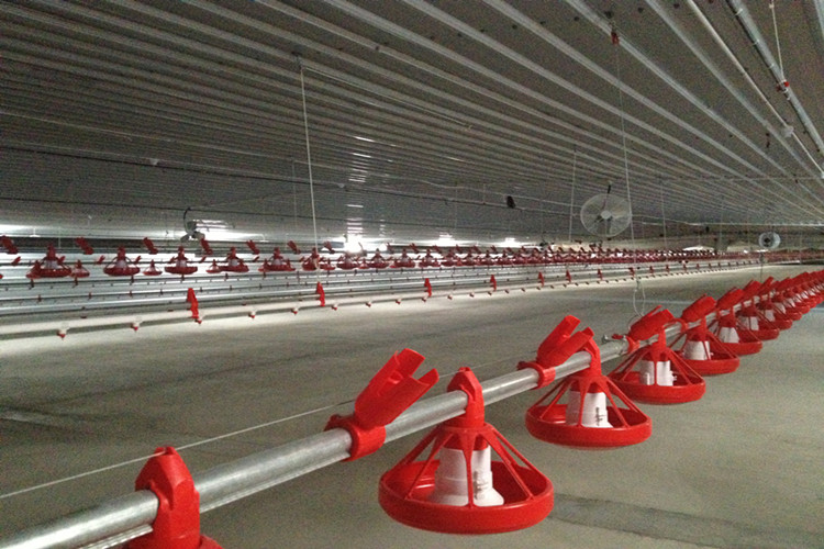 مقلاة تغذية