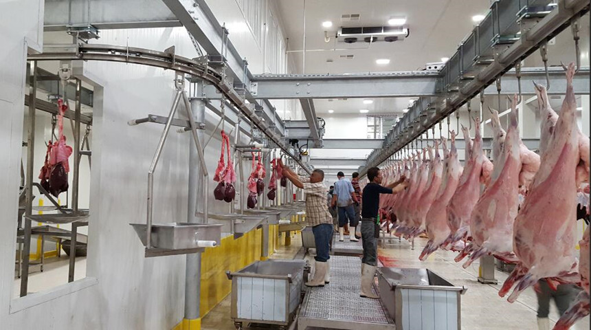 مسلخ الدجاج